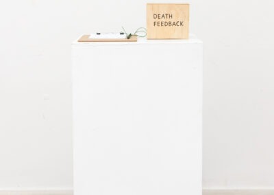 a cube ply box, sits on top of a white plinth, the box has the words "DEATH FEEDBACK" written on the front in black capital. Also on the white plinth to the left of the ply box is a brown clipboard lying down with white paper and a green pen.
