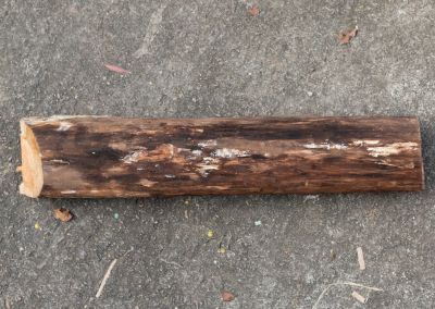 an above shot taken of a log which is sitting on bitumen